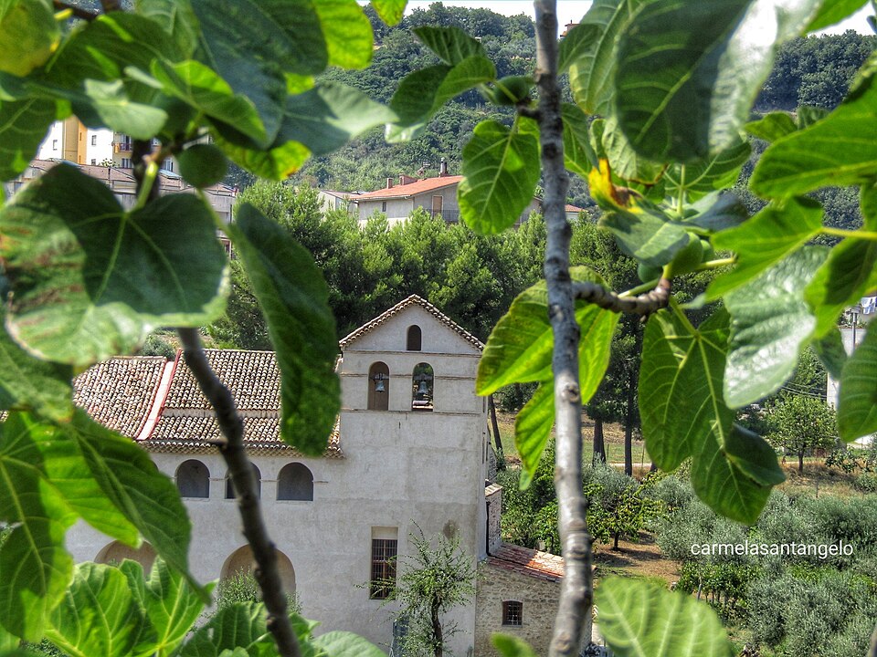 chiesa e convento di Santa Maria del Carmine