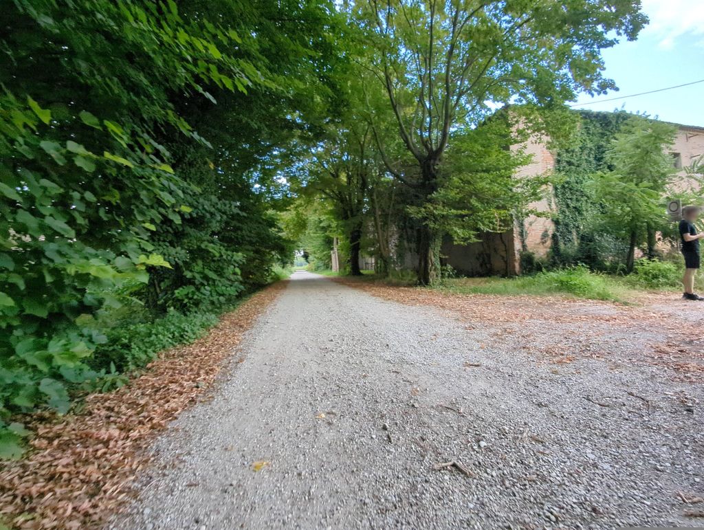 Certosa di Vigodarzere