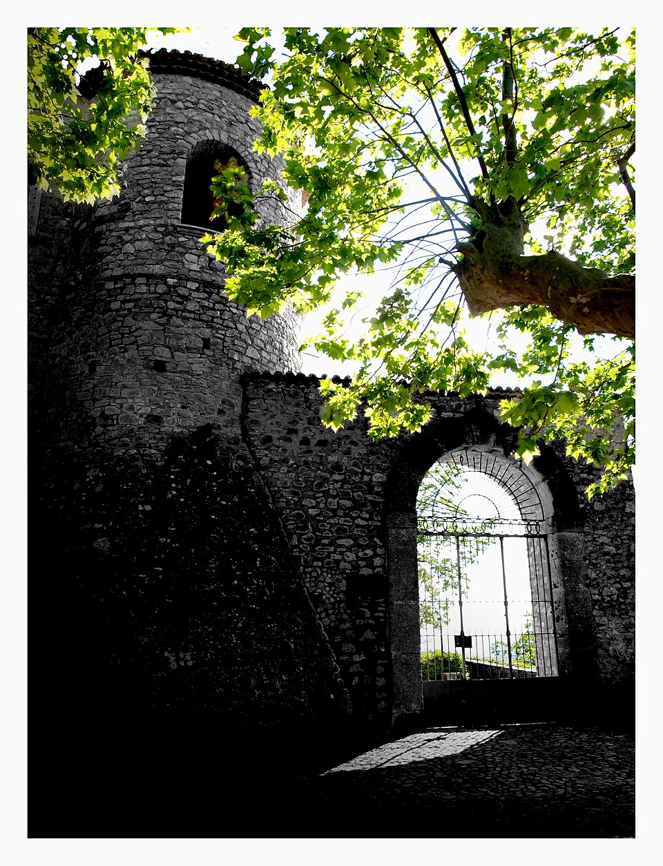 Gesualdo