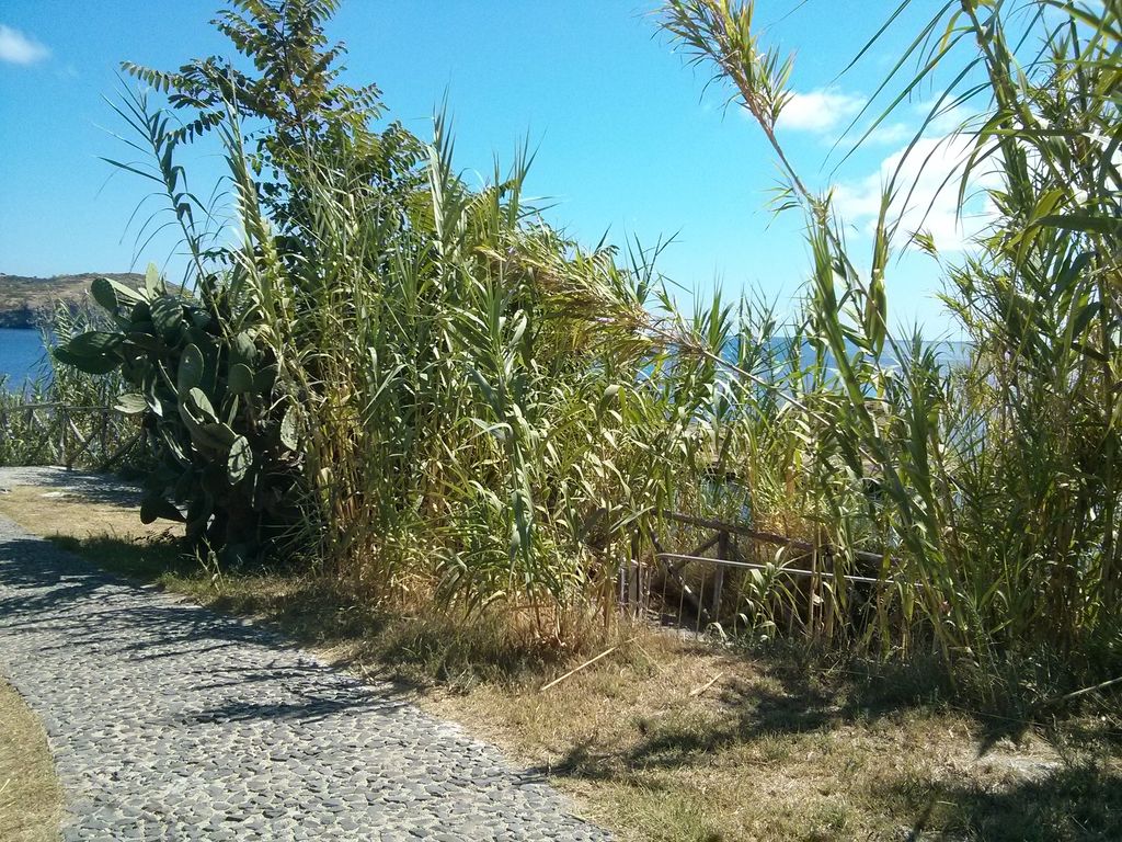 Castello