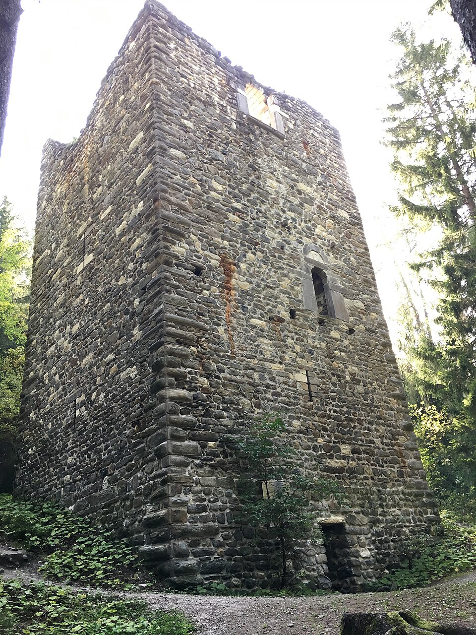 Castel Reifenegg