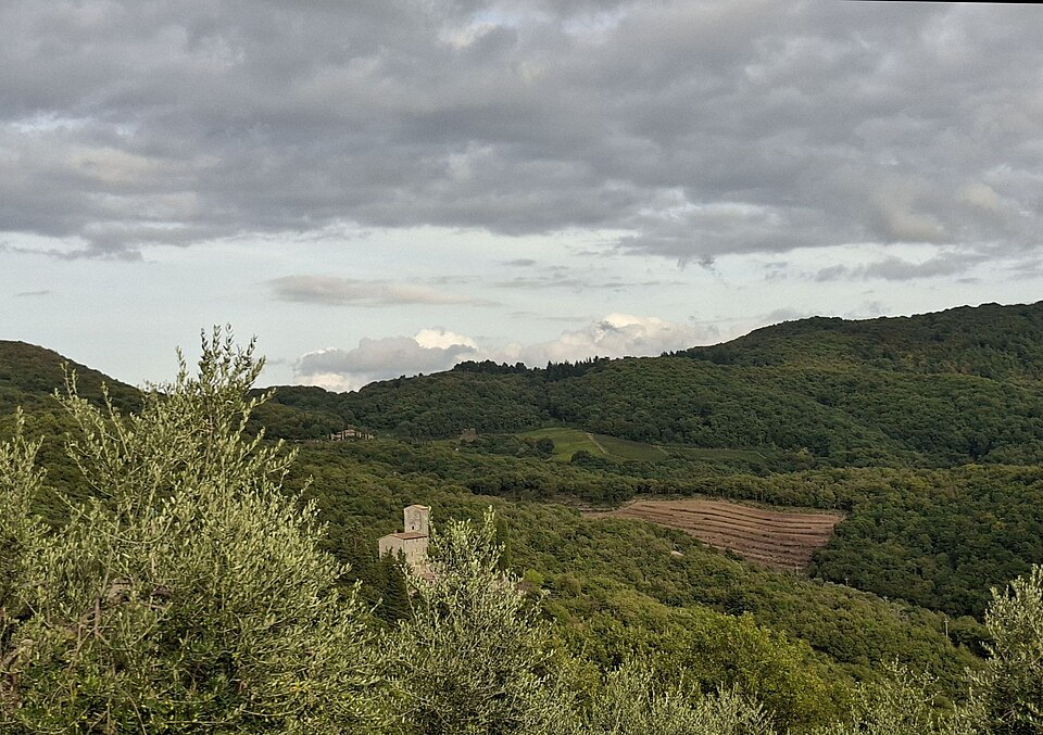 Castello di Albola