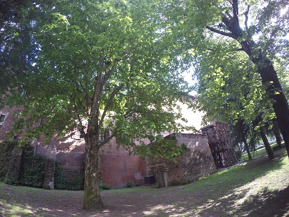 Castello di Binasco