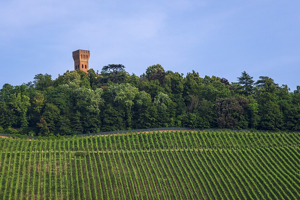 Castello di Cigognola