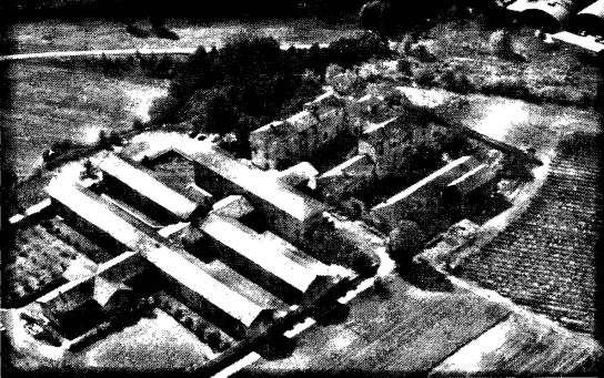 Castello di Lercaro