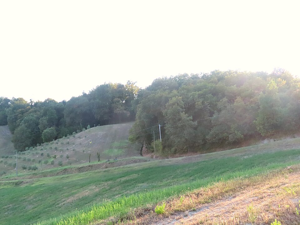 castello di Monte Palero