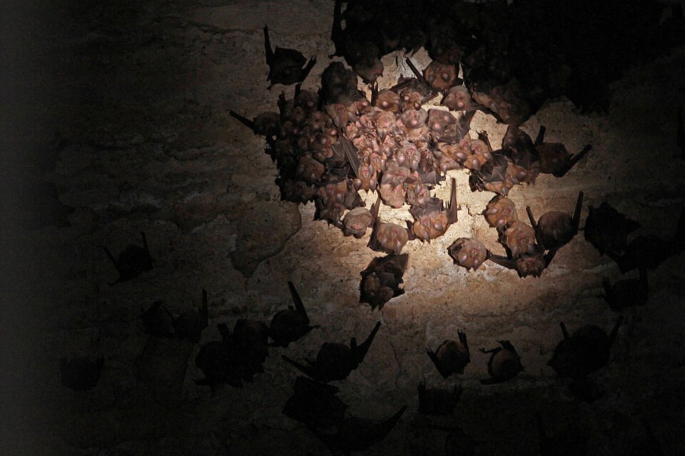 Castello di Montenero