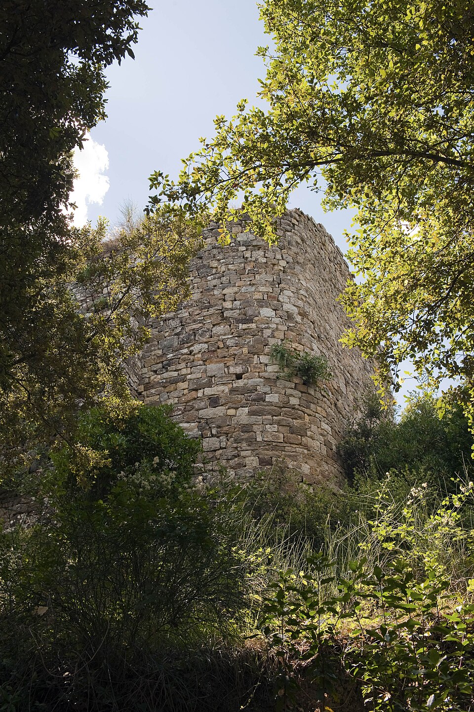 castello di Monternano