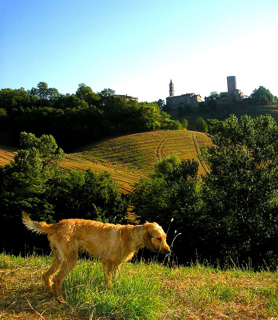 Castello di Monteventano