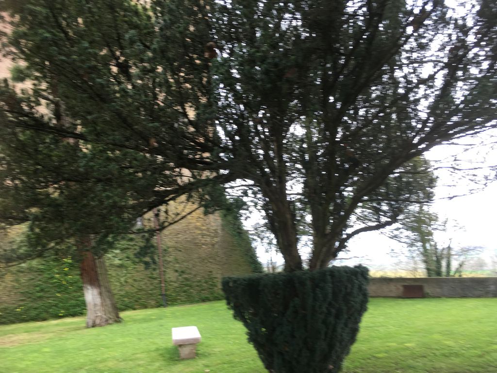 Castello di Pomaro