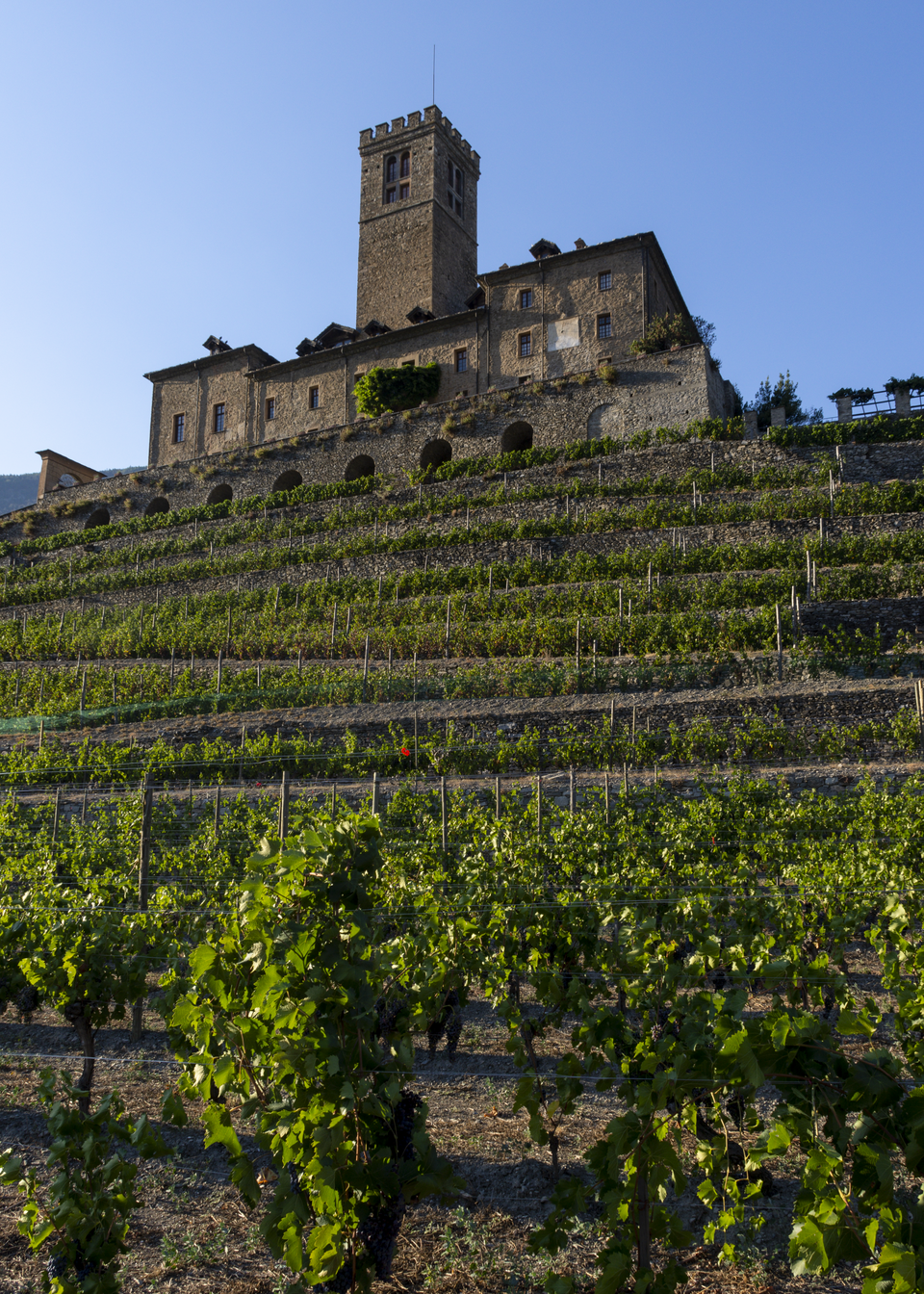 Castello di Sarre