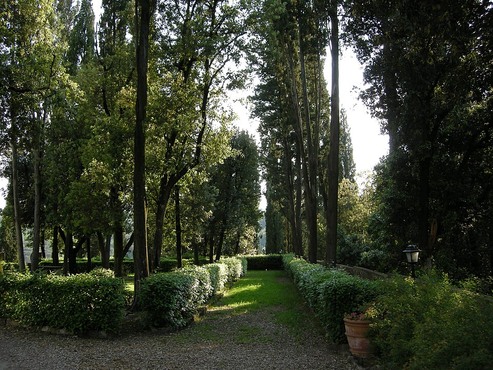 Montauto