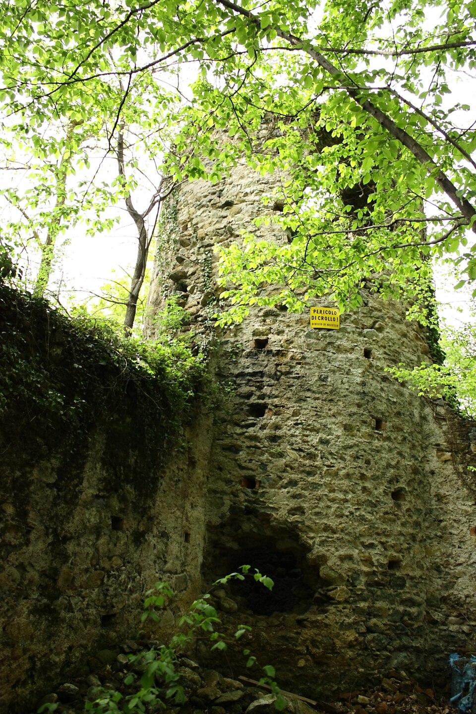 Rocca Provana
