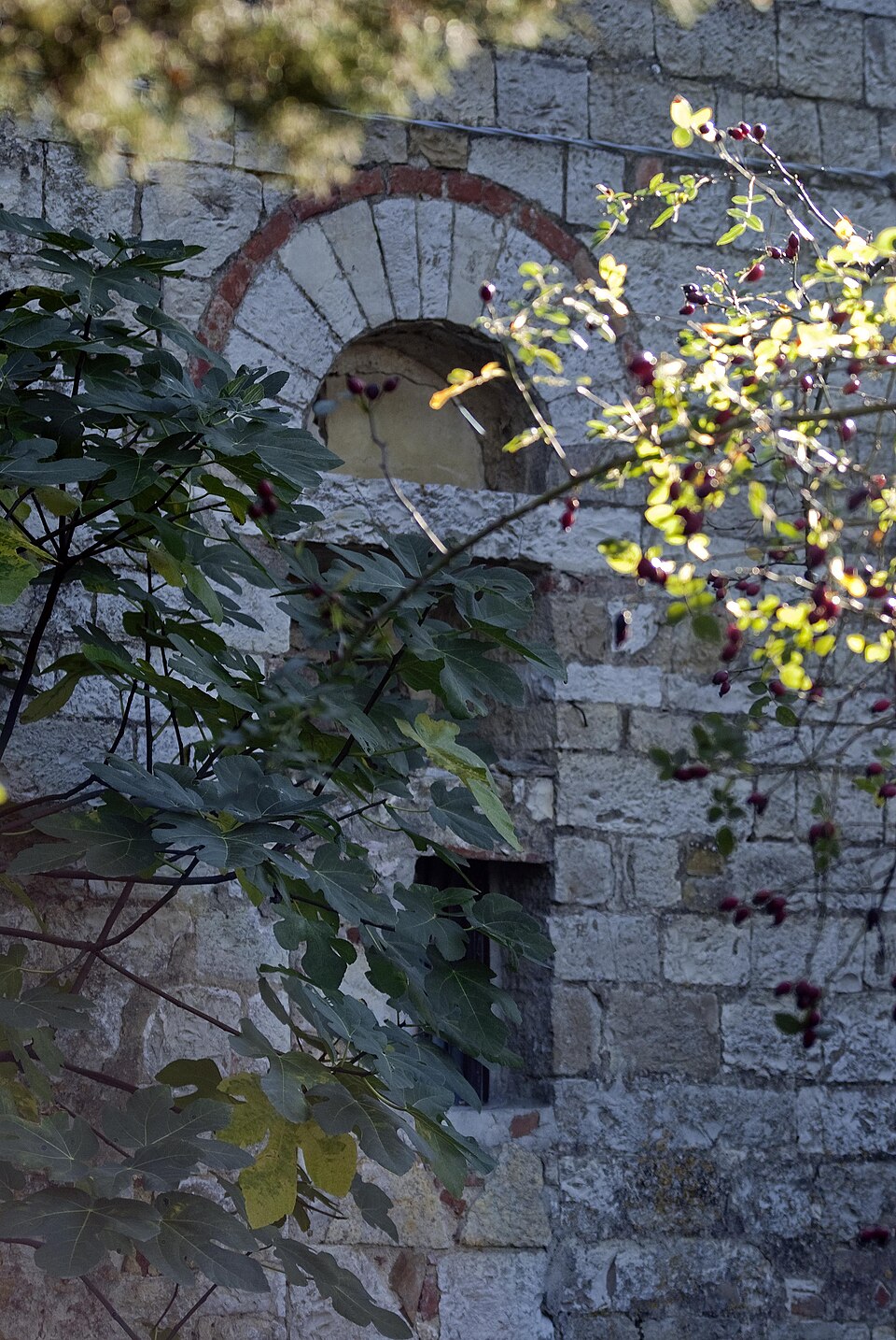 chiesa di San Miniato a Poppiano
