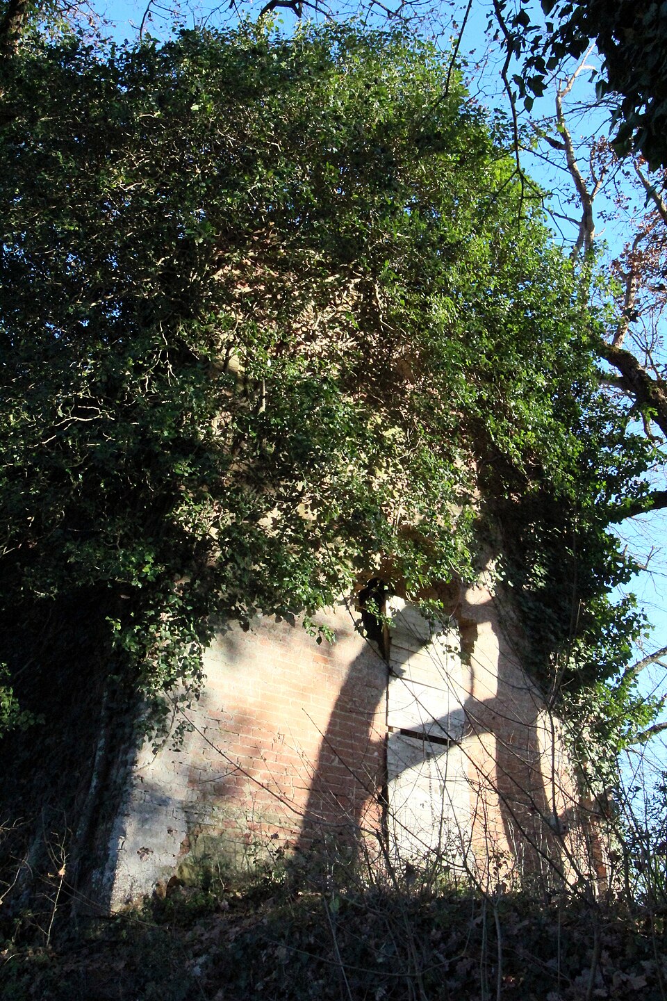chiesa di Sant'Agostino alla Sorra