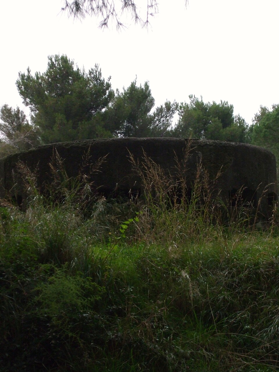Batteria Mameli