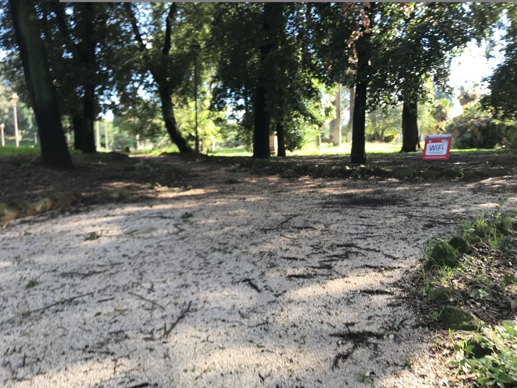 Bunker di Mussolini