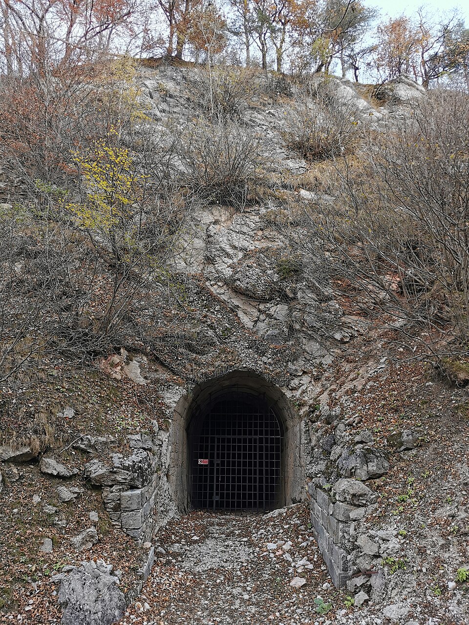 Forte Vittorio Emanuele III