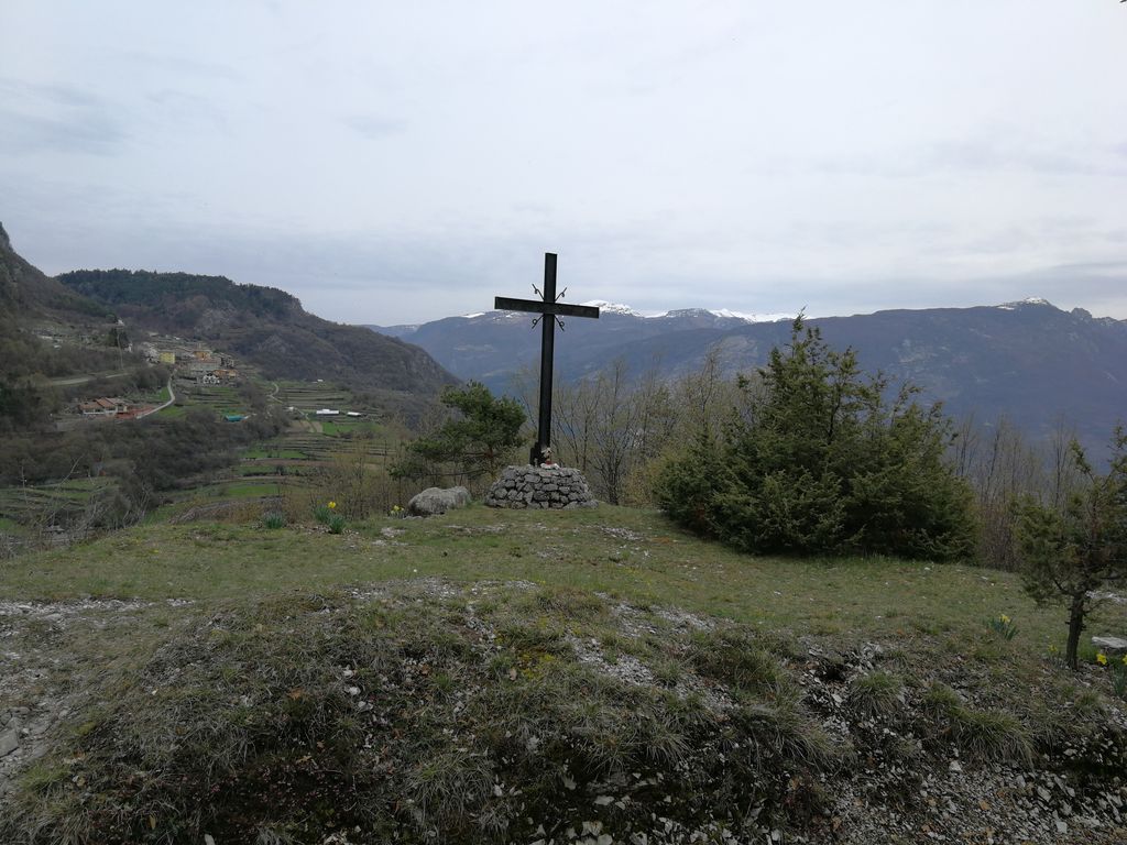Riflettore