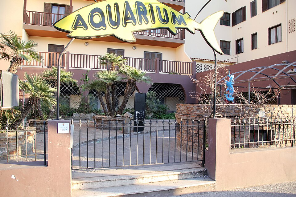 Aquarium di Alghero