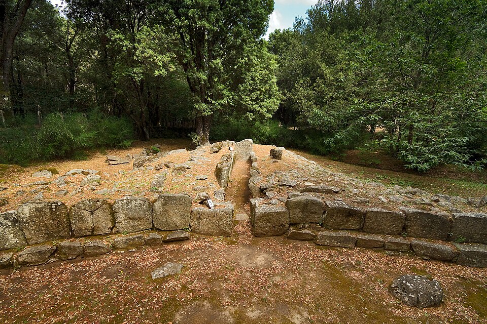 area di Selene