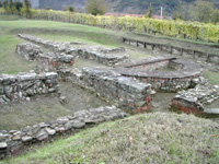 Mevaniola