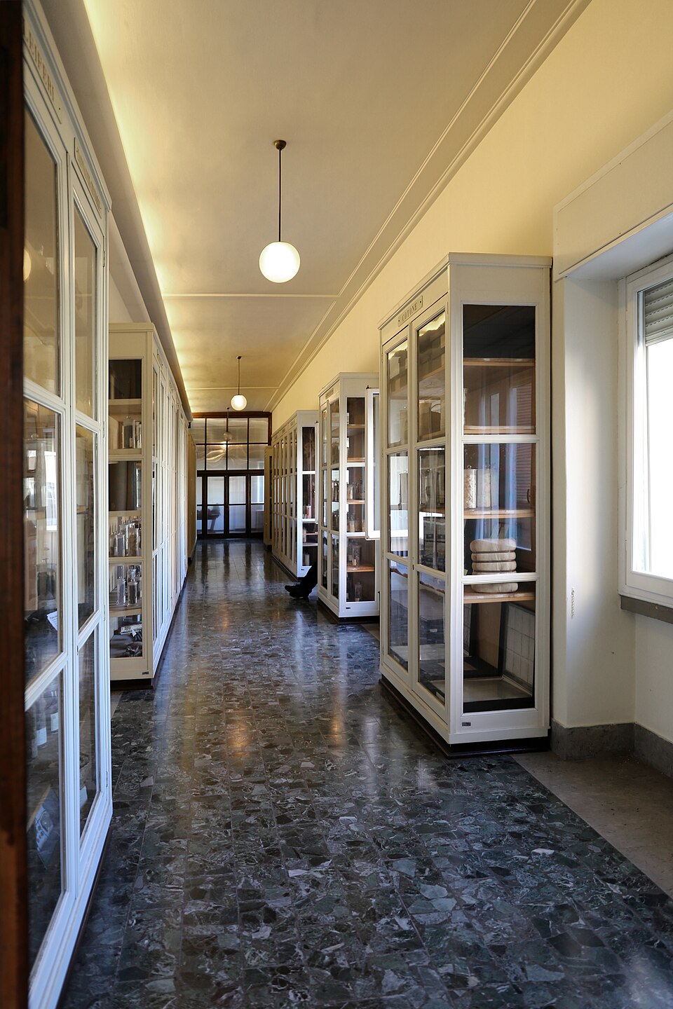 Museo agrario tropicale dell’istituto agronomico per Oltremare