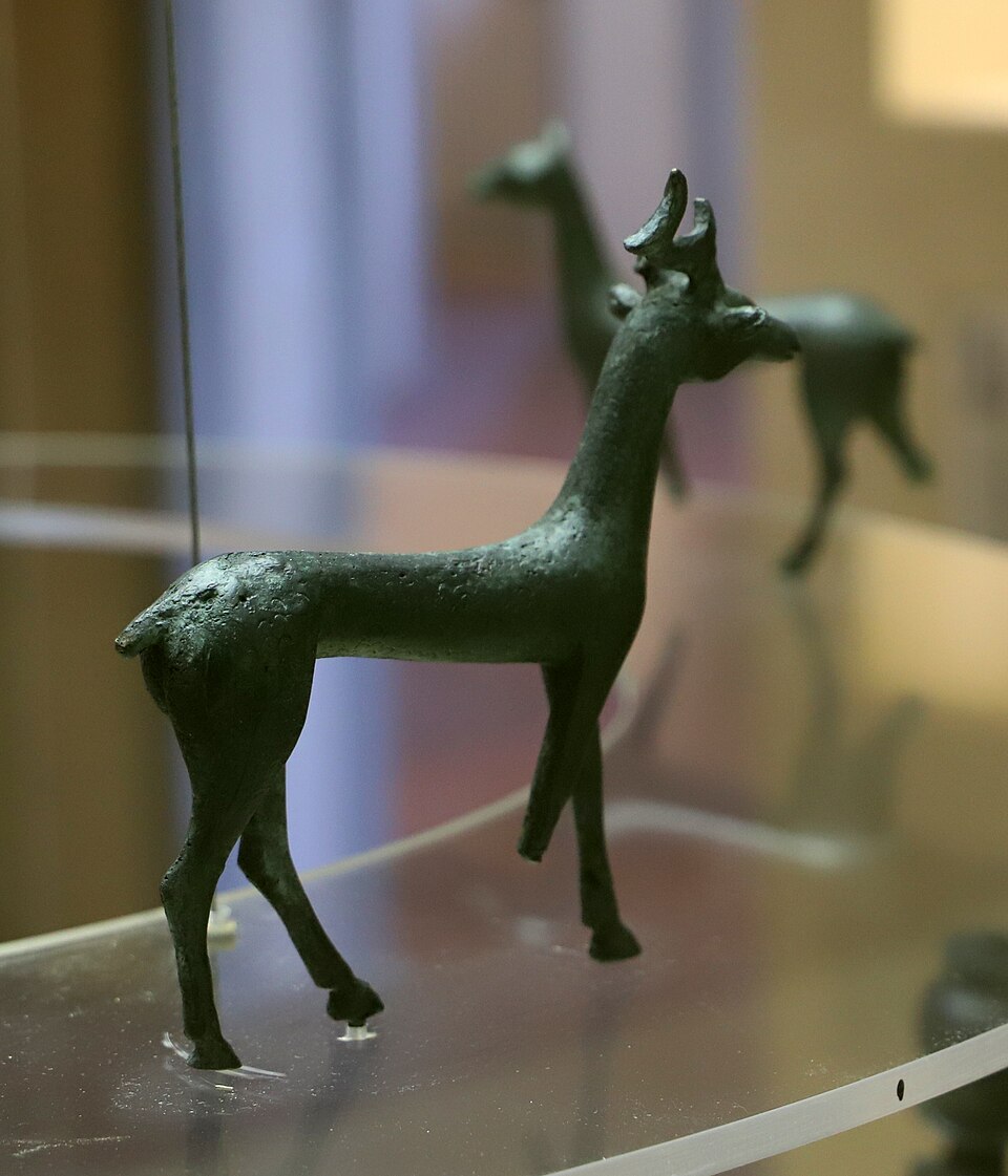 Museo civico archeologico e Percorso archeologico sotterraneo di Castiglion Fiorentino