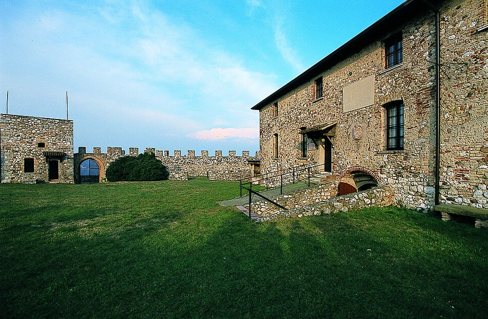 Museo civico ornitologico Gustavo Adolfo Carlotto