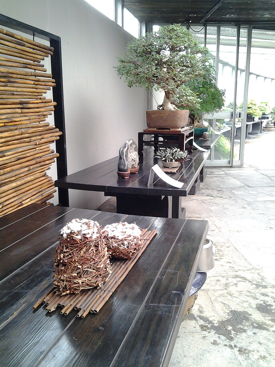 Museo del bonsai "Crespi"