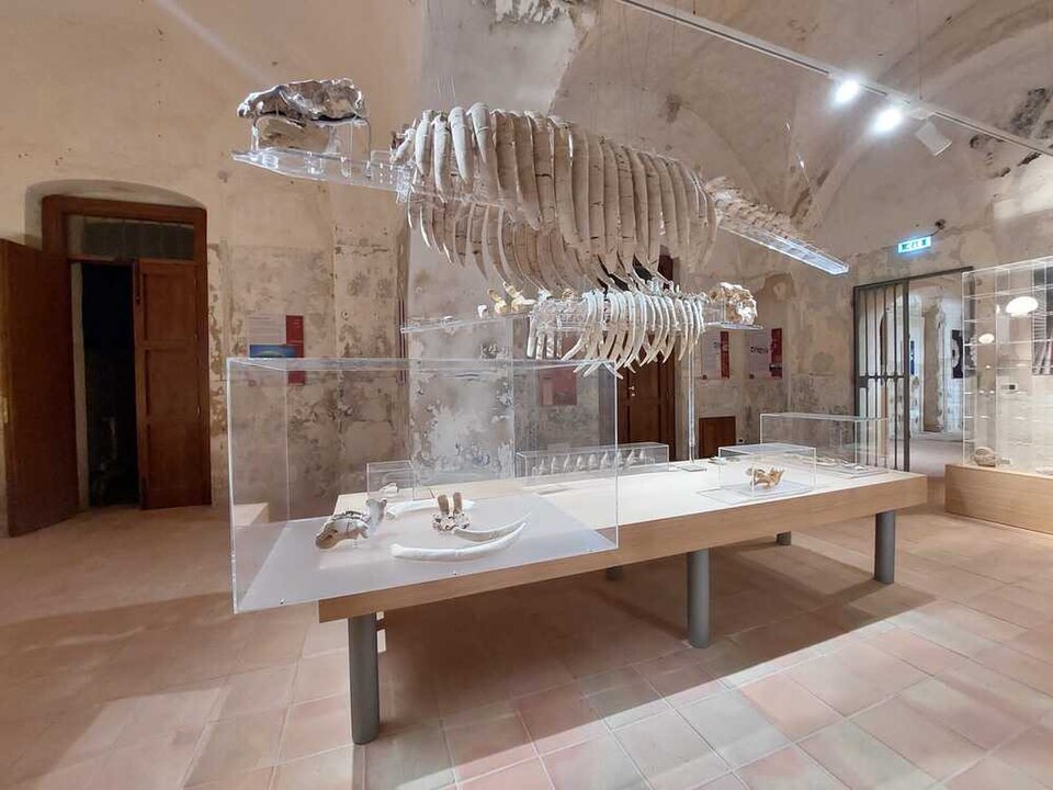 Museo del mare e della pesca
