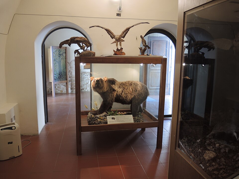 Bear Museum of Gagliano Aterno