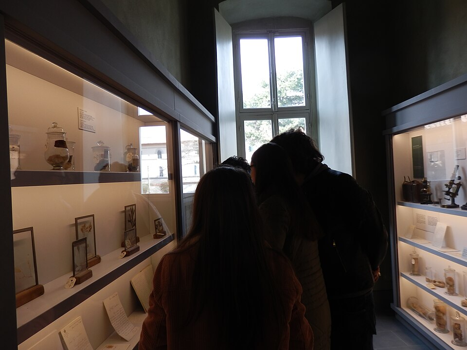 Museo dell'Orto botanico di Pisa