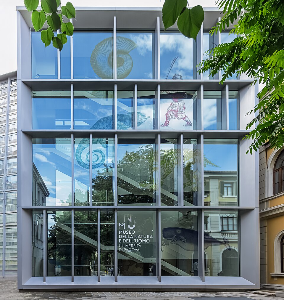 Museo dell'uomo