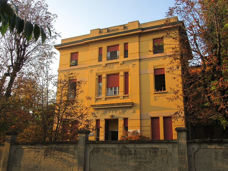 Museo di anatomia di Pavia