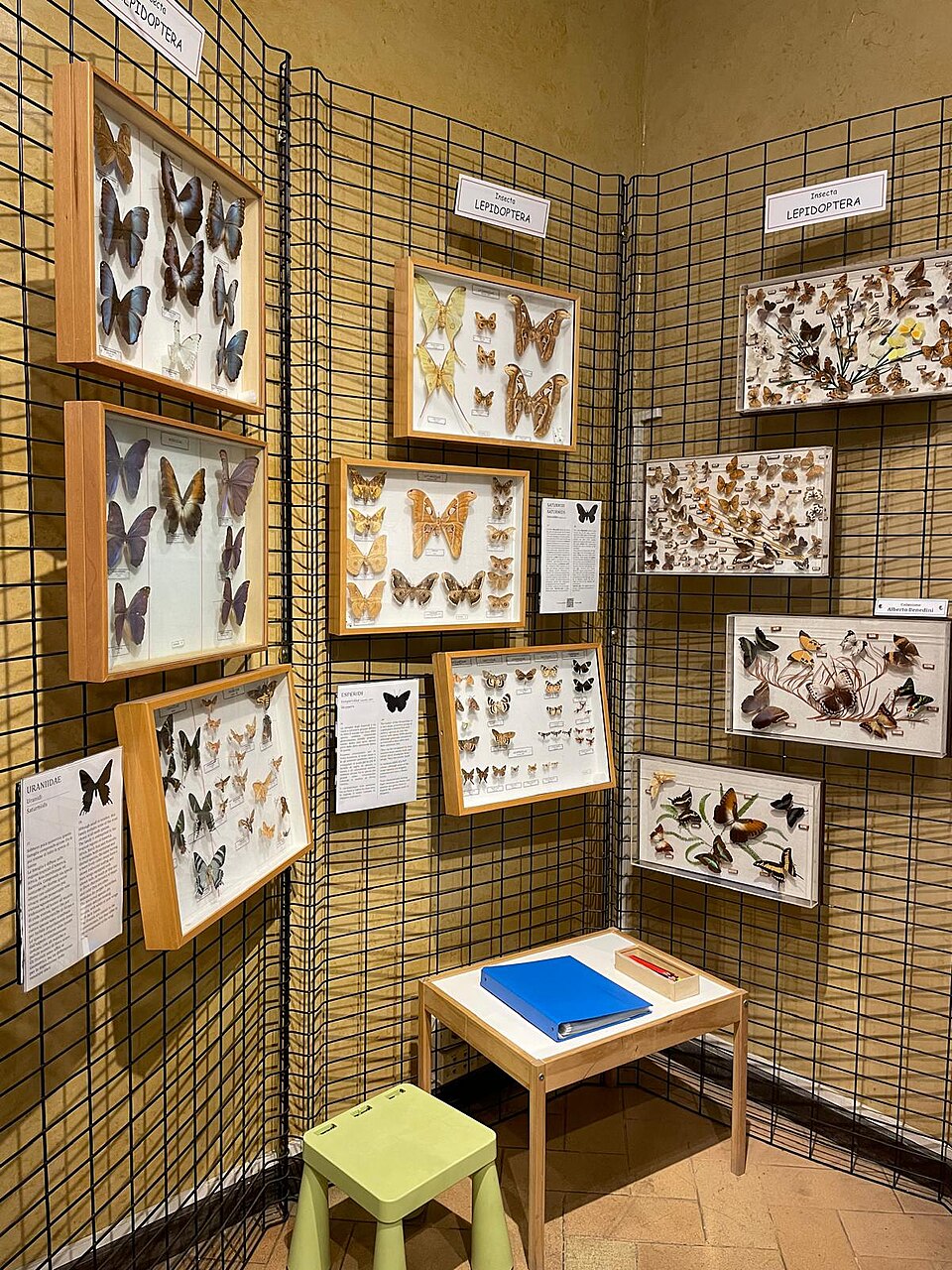 Museo di entomologia