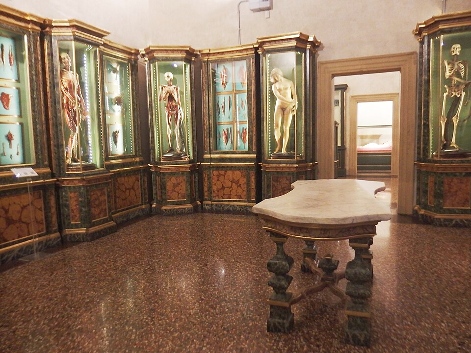 Museo di palazzo Poggi