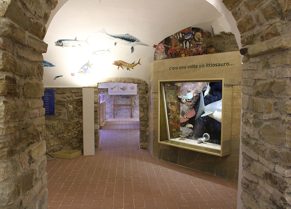 Museo di storia naturale del territorio