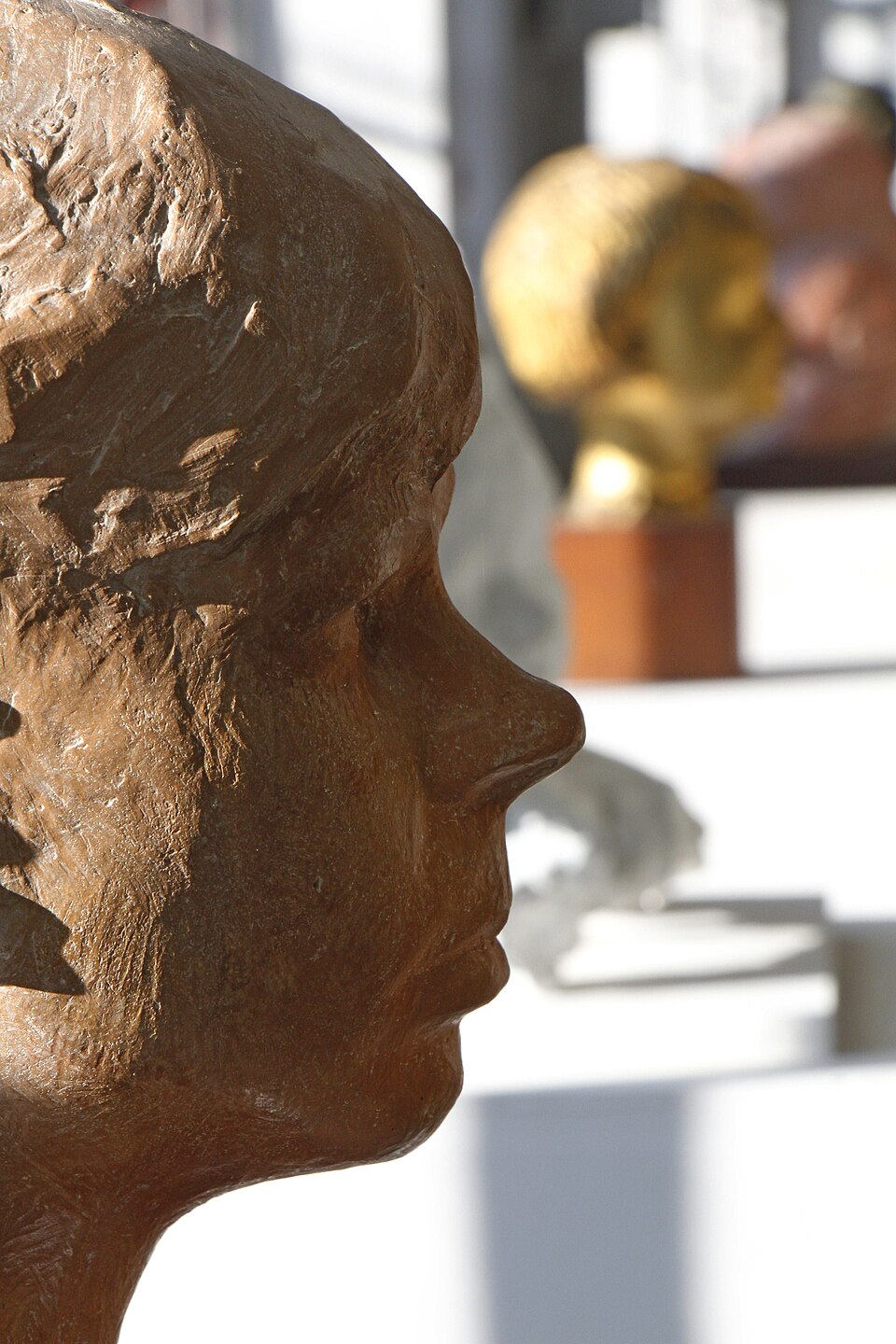 Museo F. Bertoni