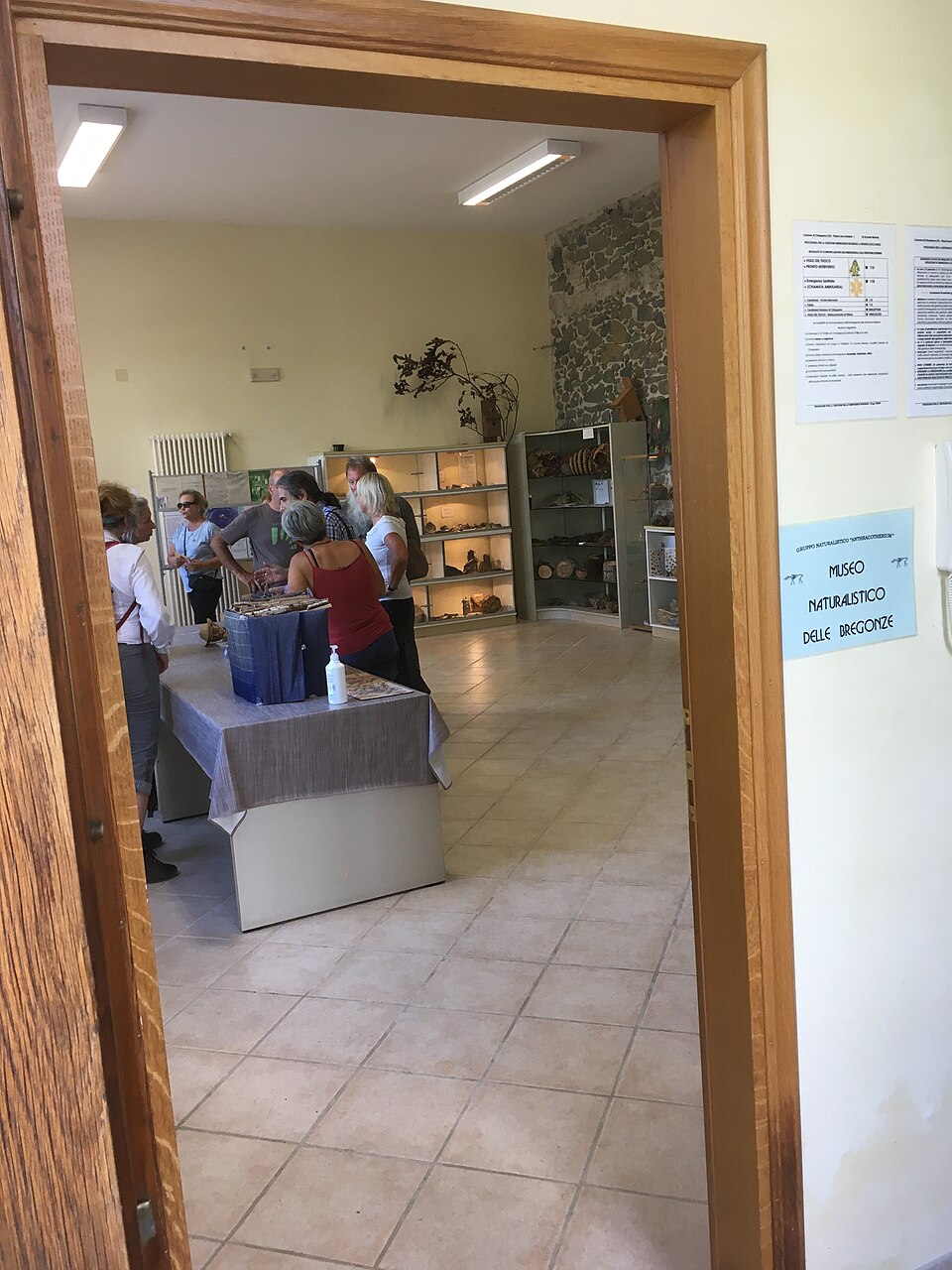 Museo naturalistico delle Bregonze