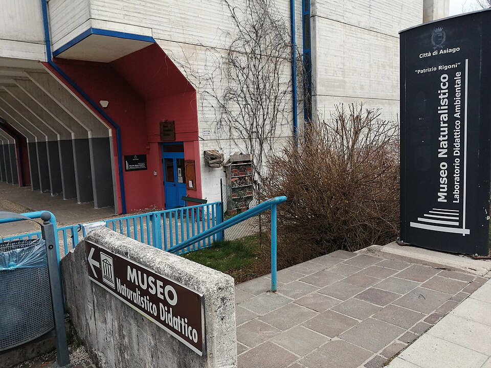 Museo naturalistico Patrizio Rigoni