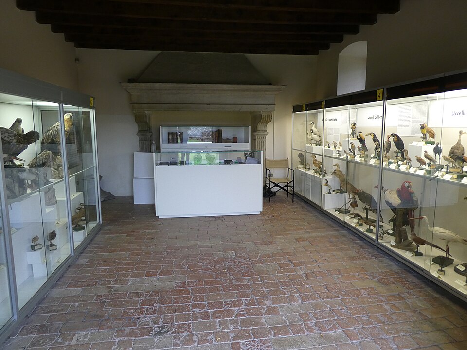 museo ornitologico