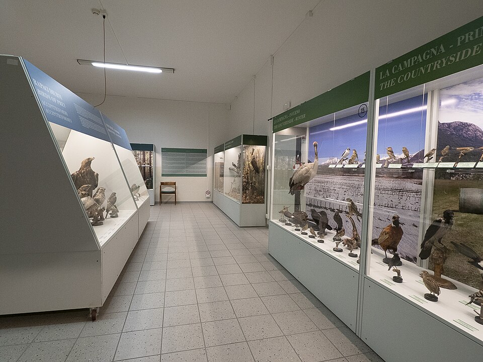 Museo Ornitologico e delle Scienze Naturali di Varenna