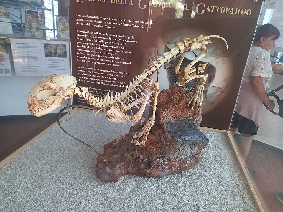 Museo preistorico della Val Varatella Nino Lamboglia
