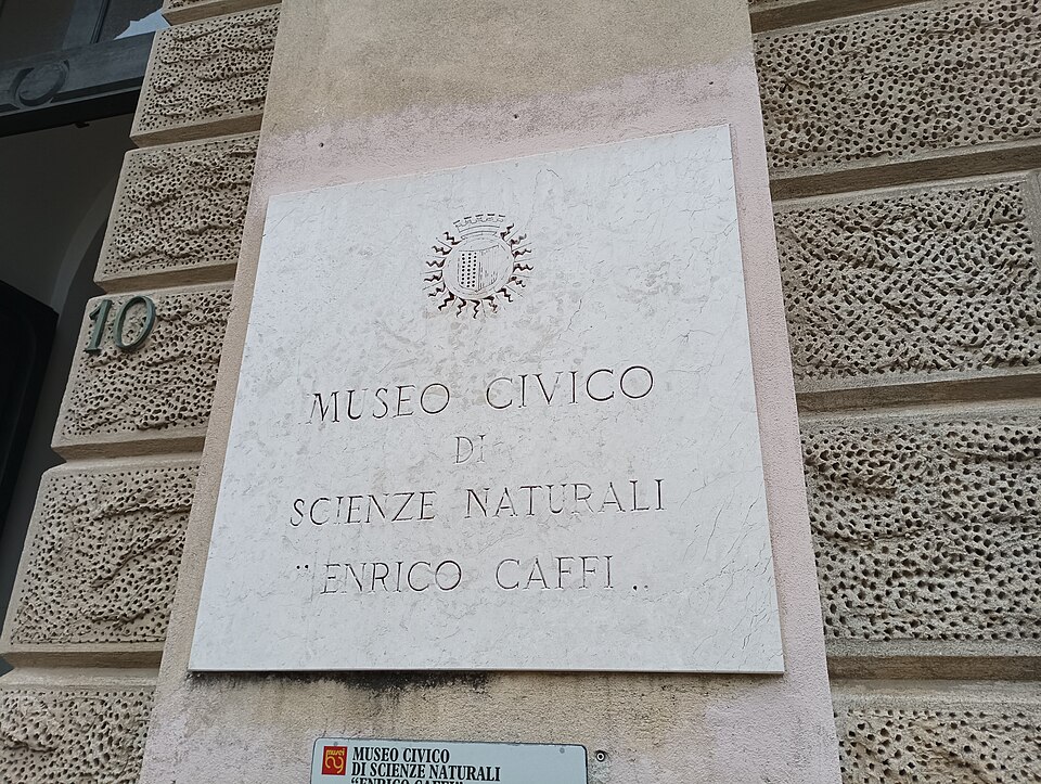 Museo scienze Naturali