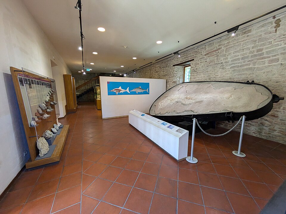 Museo speleo paleontologico e archeologico di Genga