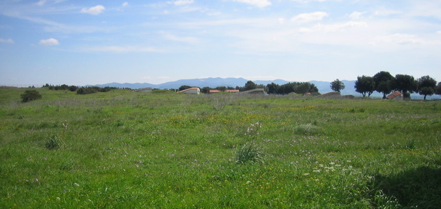 necropoli di Tarquinia