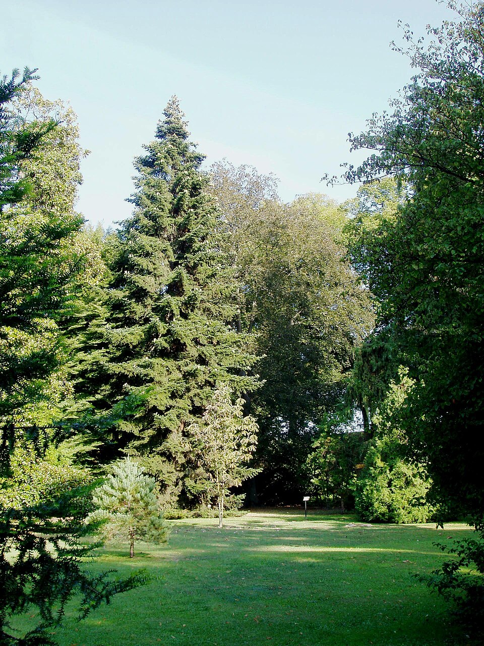 Orto botanico comunale di Lucca