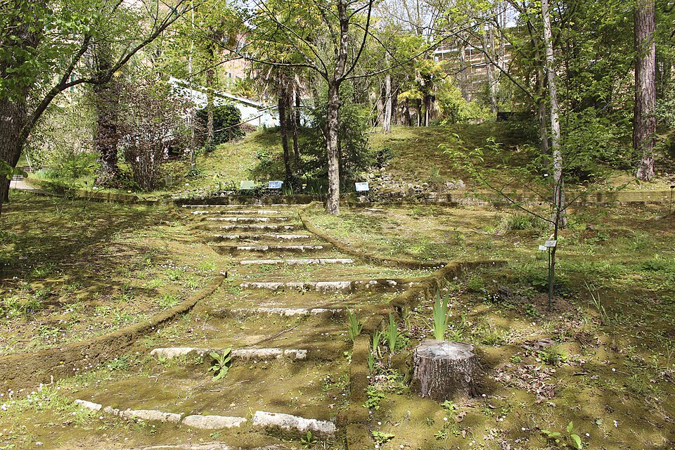 Orto botanico di Siena