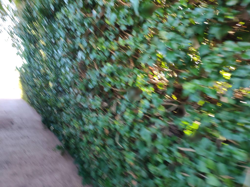 Sepolcreto